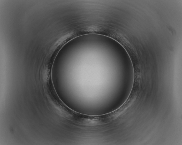 X0000113540164200909181205