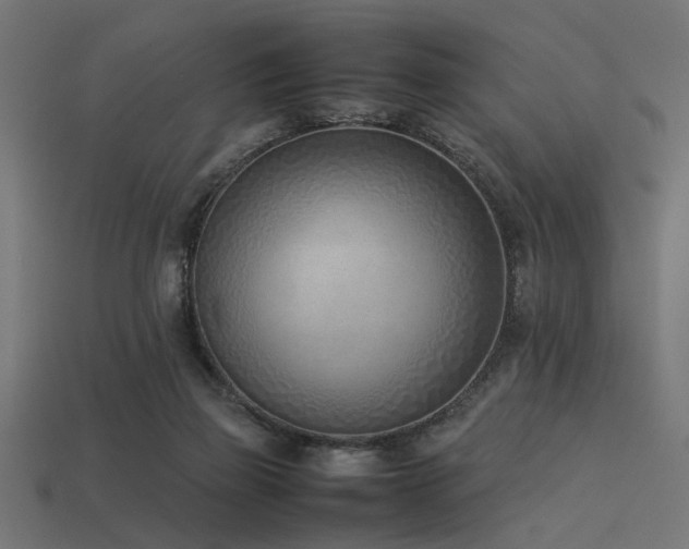 X0000113540165200909181205