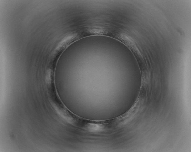 X0000113540167200909181205