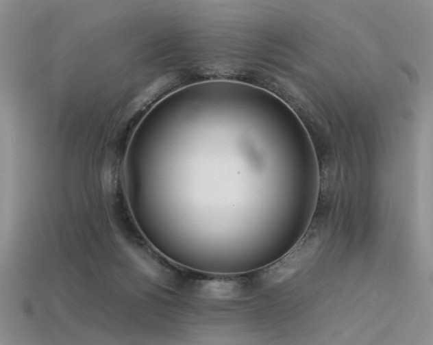 X0000113540168200909181205