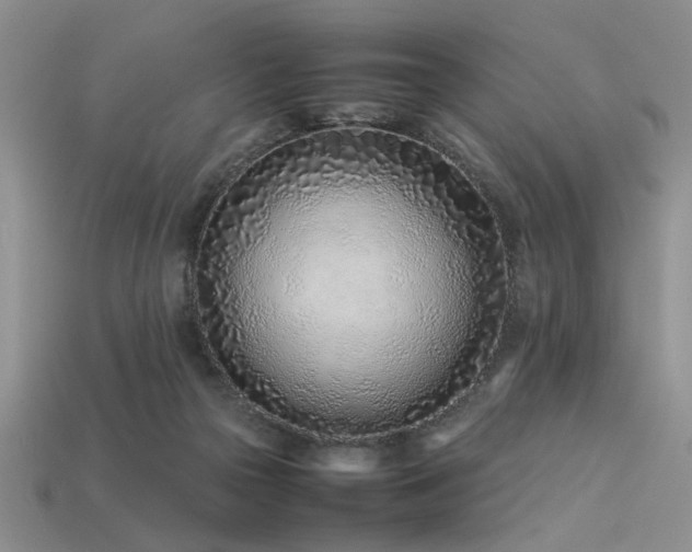 X0000113540169200909181205