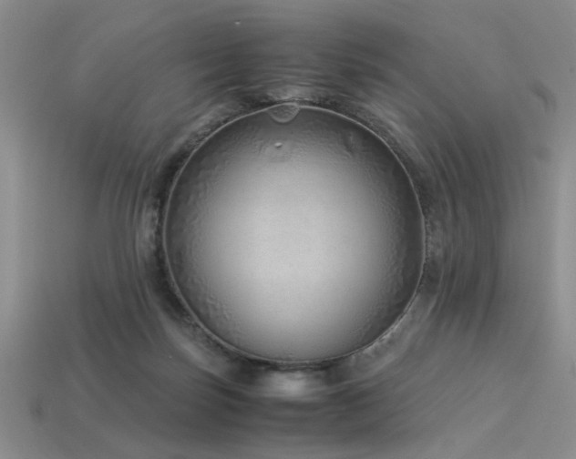 X0000113540171200909181205