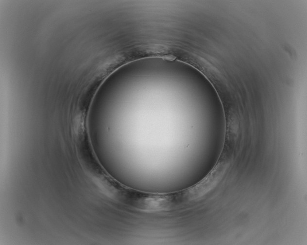 X0000113540172200909181205