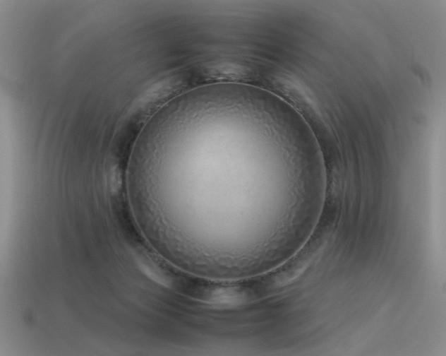 X0000113540173200909181205