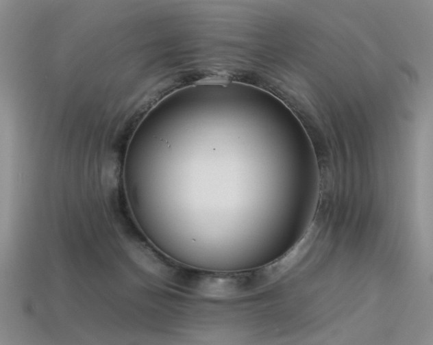 X0000113540174200909181205