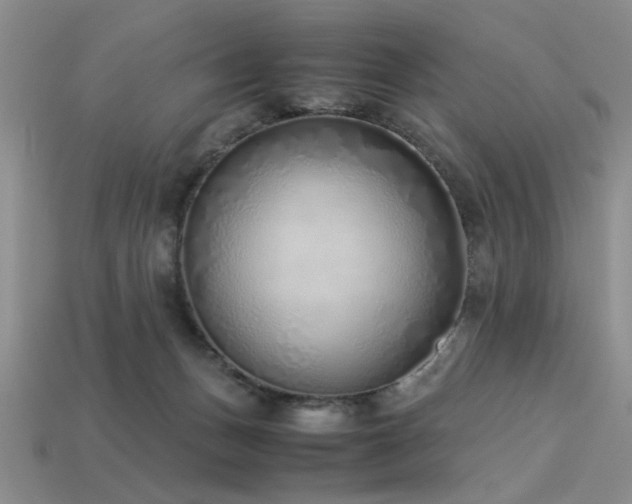 X0000113540175200909181205