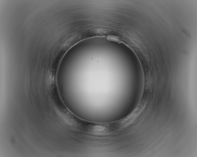 X0000113540176200909181205