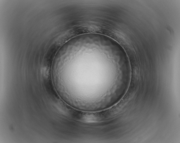 X0000113540177200909181205
