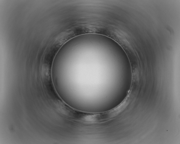 X0000113540178200909181205