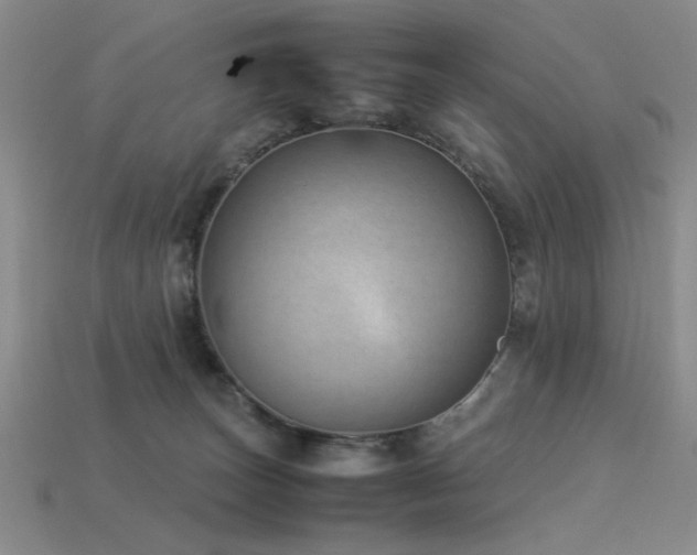 X0000113540179200909181205
