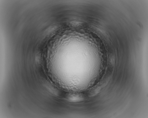 X0000113540181200909181205