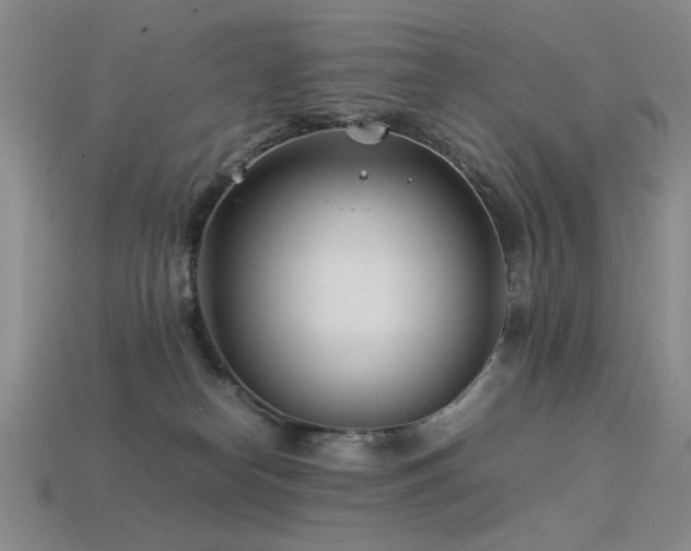 X0000113540182200909181205