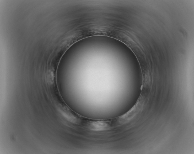 X0000113540183200909181205