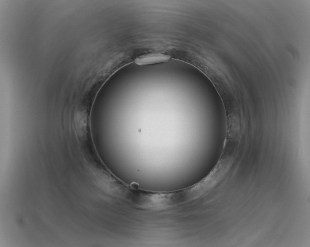 X0000113540184200909181205