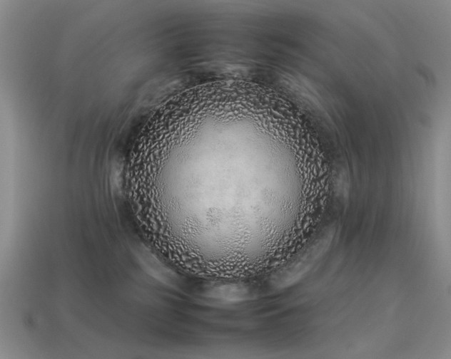 X0000113540185200909181205