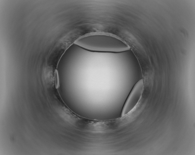 X0000113540186200909181205