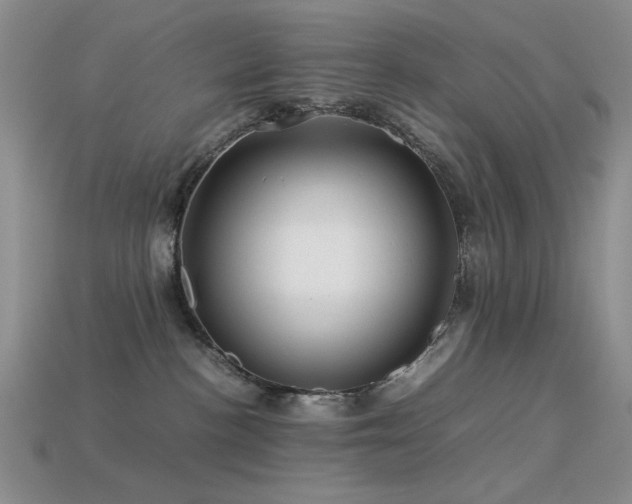 X0000113540188200909181205