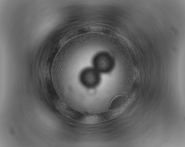 X0000113540189200909181205
