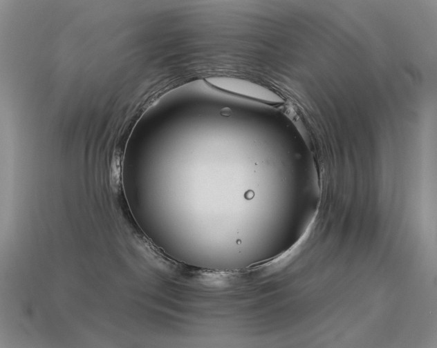 X0000113540190200909181205