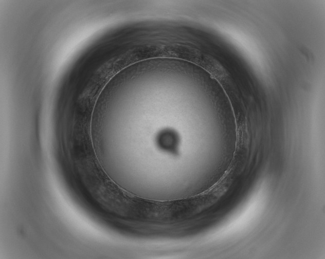 X0000113540191200909181205