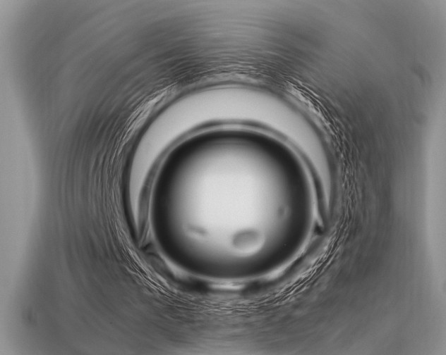 X0000113540193200909181205