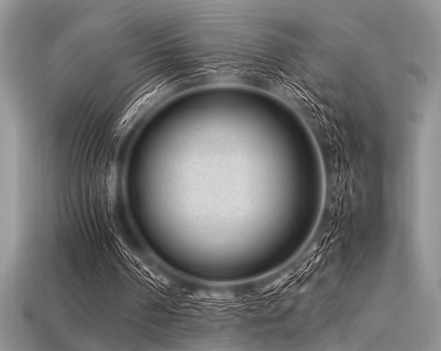 X0000113540194200909181204