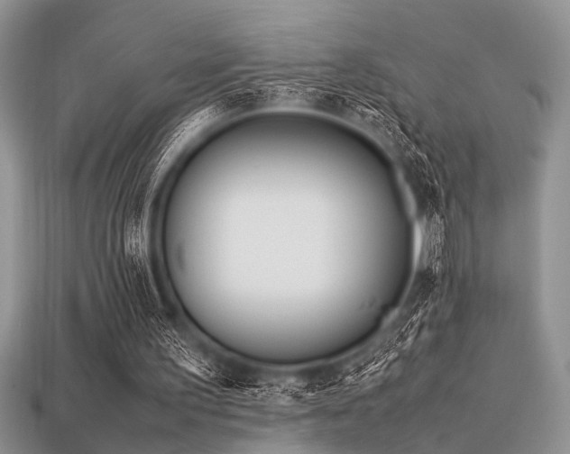 X0000113540195200909181204