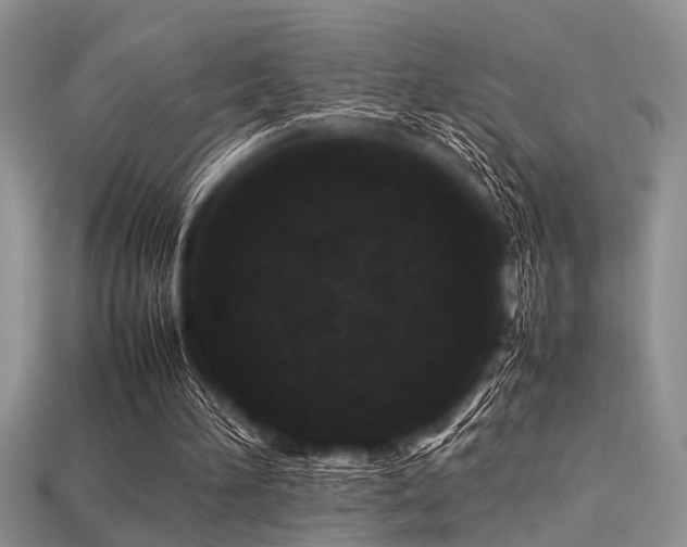 X0000113540196200909181204