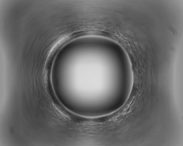 X0000113540197200909181204