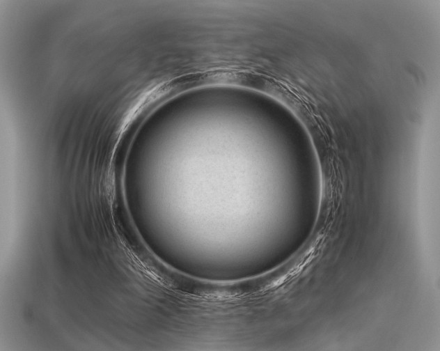 X0000113540198200909181204