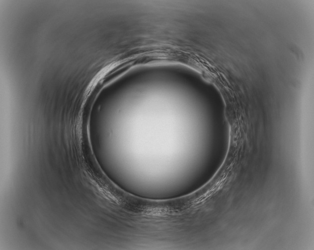 X0000113540200200909181204