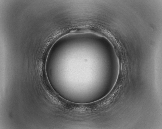 X0000113540201200909181204