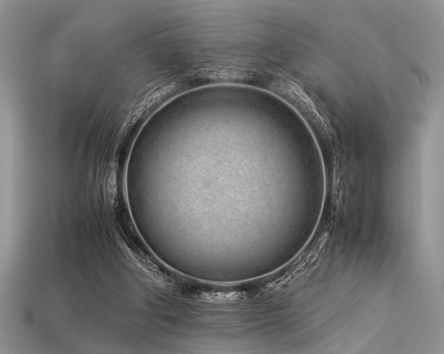 X0000113540202200909181204