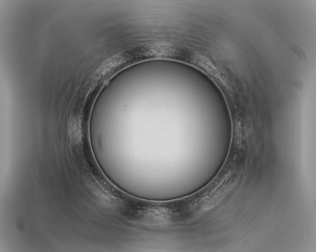 X0000113540203200909181204