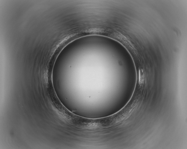 X0000113540204200909181204