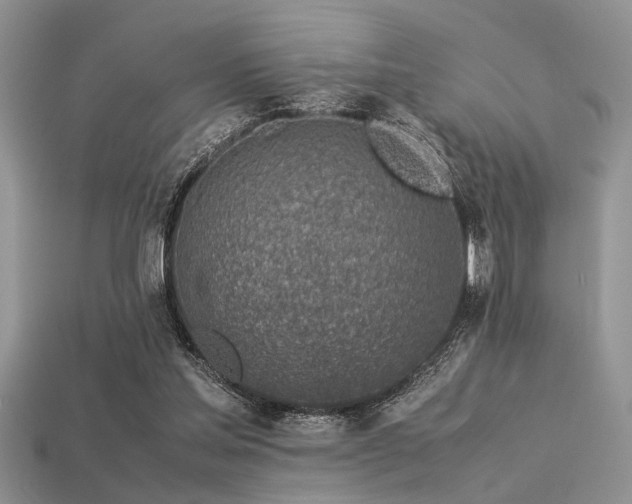 X0000113540205200909181204