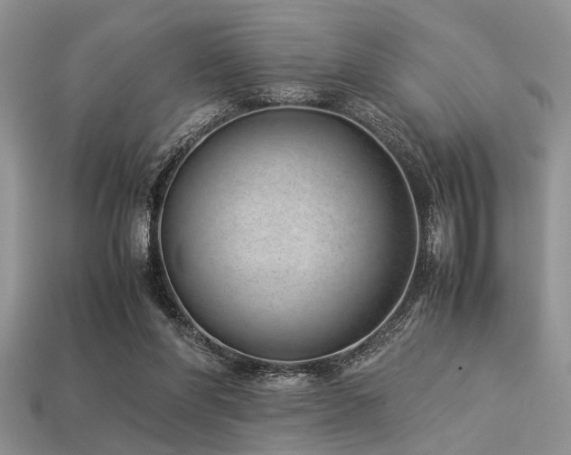 X0000113540206200909181204