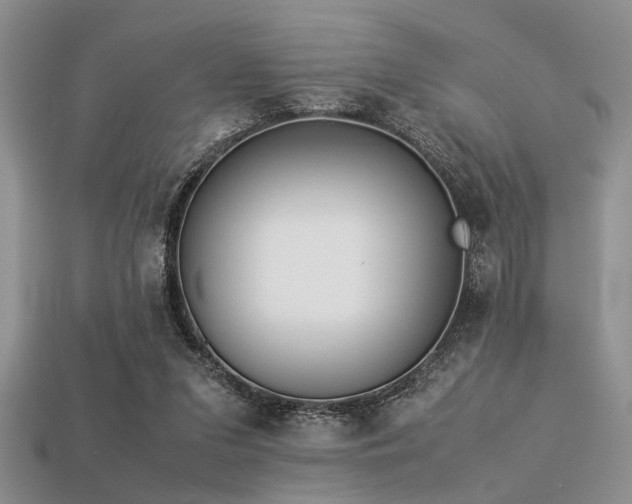 X0000113540207200909181204