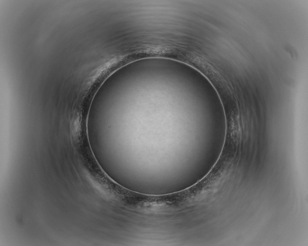 X0000113540208200909181204