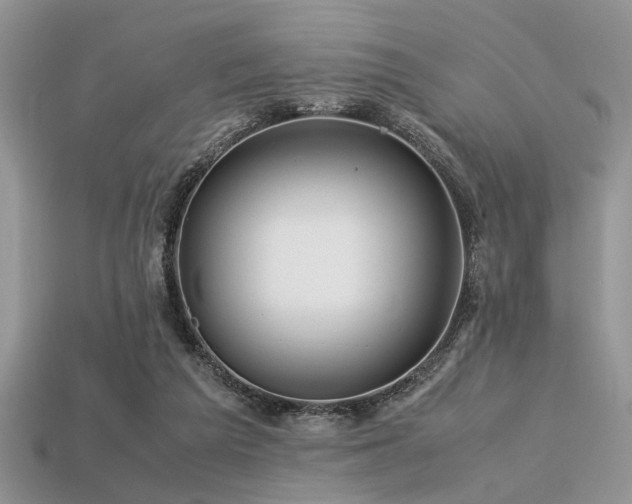 X0000113540209200909181204