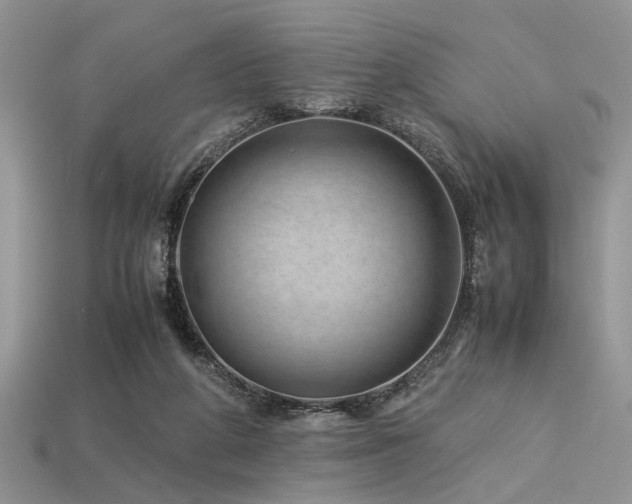 X0000113540210200909181204