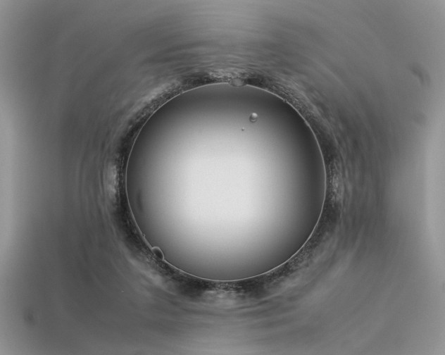 X0000113540211200909181204