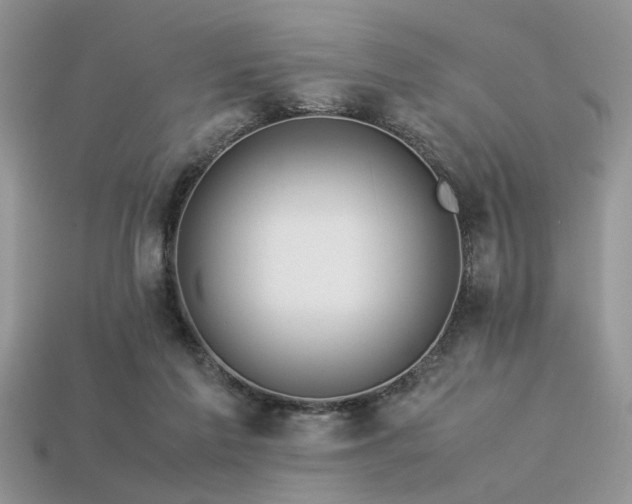 X0000113540213200909181204