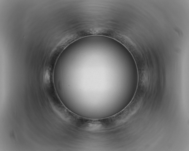 X0000113540214200909181204