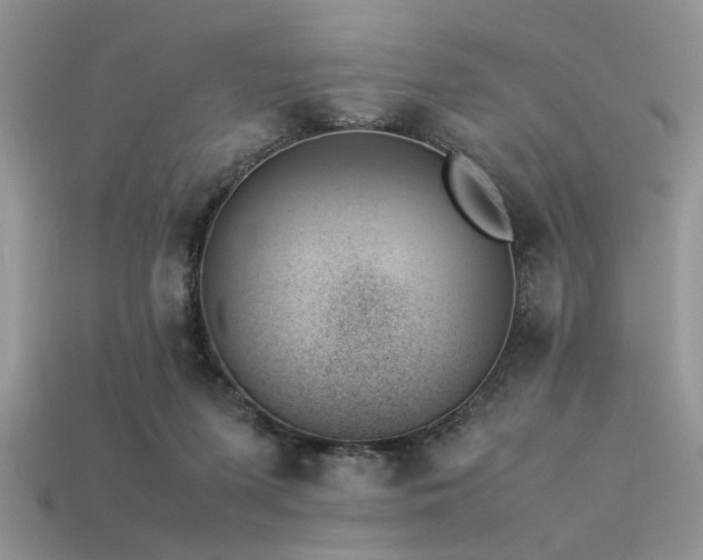 X0000113540215200909181204