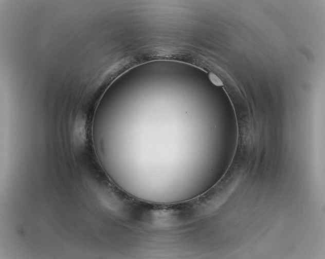X0000113540216200909181204