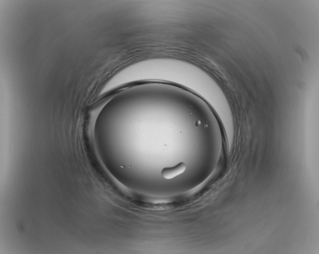 X0000113540217200909181204