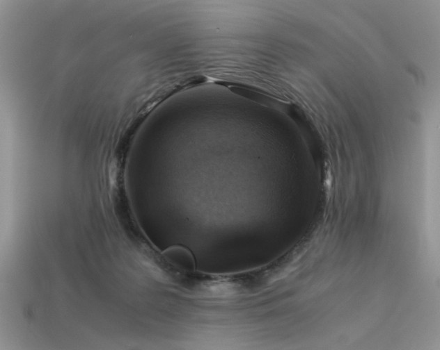 X0000113540219200909181204