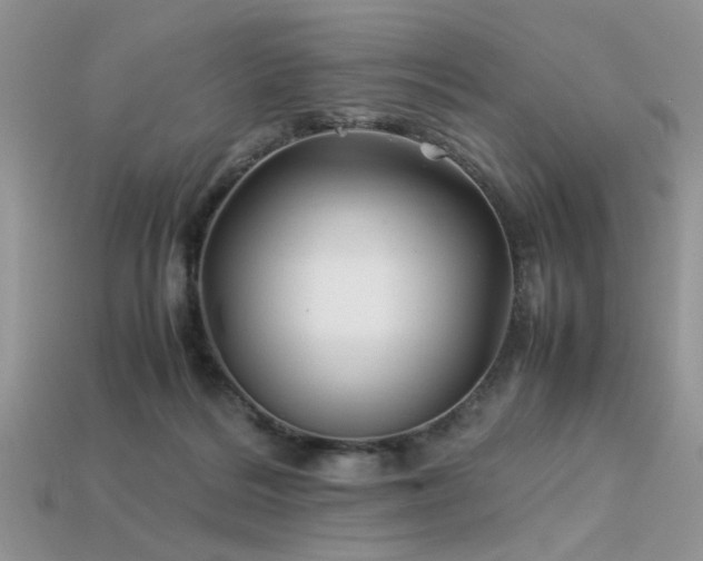 X0000113540220200909181204