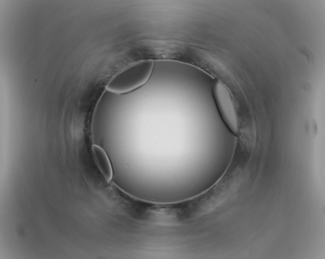 X0000113540221200909181204